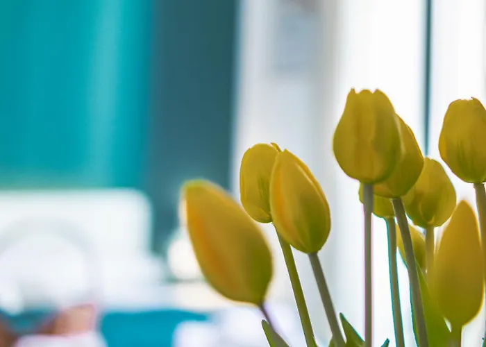 Rua De Mar Chiatamone Πανσιόν Νάπολη